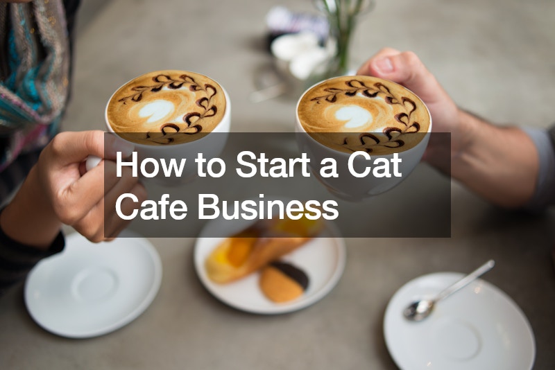How to Start a Cat Cafe Business
